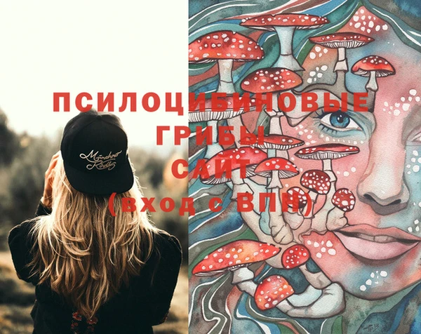 меф Армянск