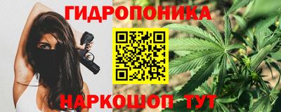 шишки Будённовск