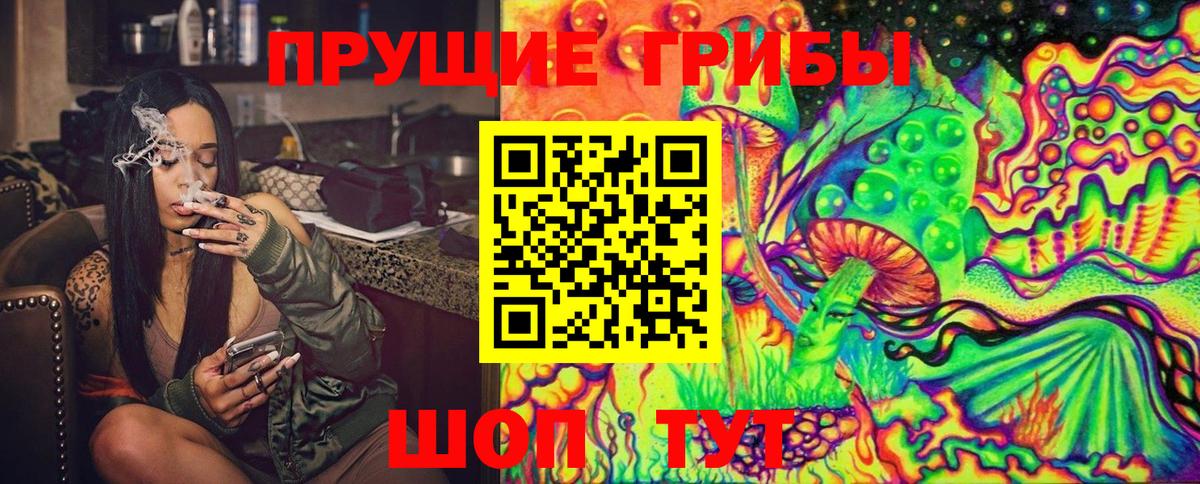 Галлюциногенные грибы Psilocybe  Вход с VPN  Новороссийск 