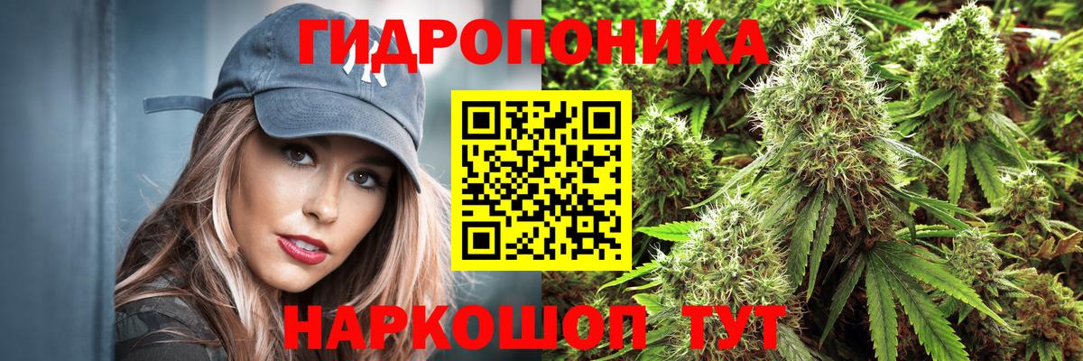 Бошки Шишки Bruce Banner  Вход с VPN  Бошки марихуана семена  Шишки марихуана Bruce Banner  Новороссийск 